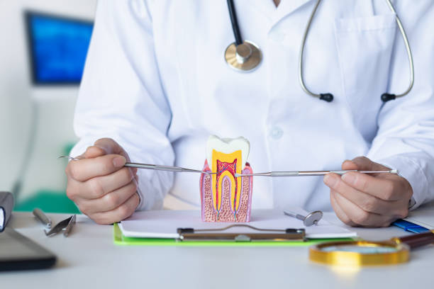 Best Emergency TMJ Treatment in Mason Neck, VA